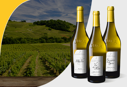 domaine-de-sainte-marie-les-specialites-du-jura-hover domaine de sainte marie les specialites du jura hover