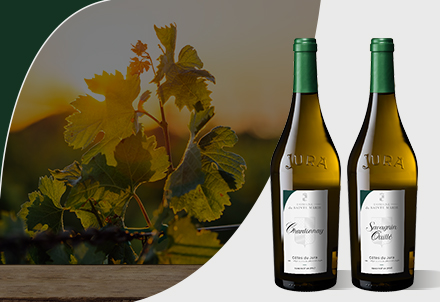 domaine-de-sainte-marie-les-vins-blancs-floraux-hover domaine de sainte marie les vins blancs floraux hover