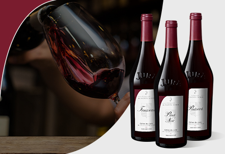 domaine-de-sainte-marie-les-vins-rouges-hover domaine de sainte marie les vins rouges hover
