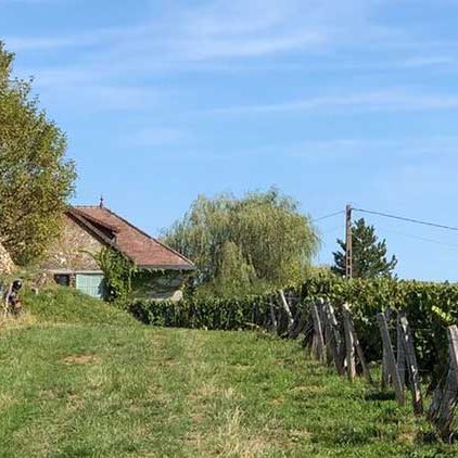 bandeau_LeDomaine domaine de sainte marie