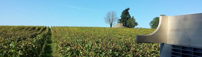 bandeau_lesRouges vins rouges jura