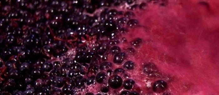 Trousseau